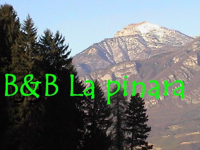 B&B La Pinara Τρέντο Δωμάτιο φωτογραφία