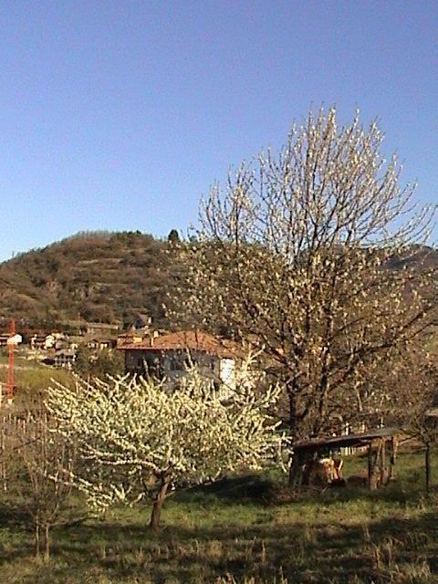 B&B La Pinara Τρέντο Εξωτερικό φωτογραφία
